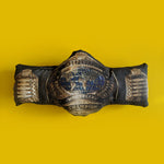 IWTV Independent Wrestling Championship Pillow